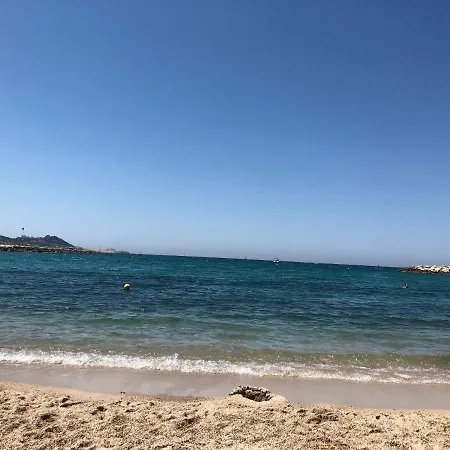 La palmeraie-2